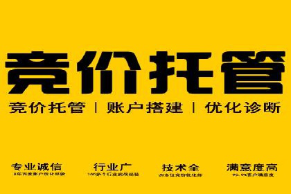 某公司通过SEM代运营托管公司实现业绩持续增长的秘诀